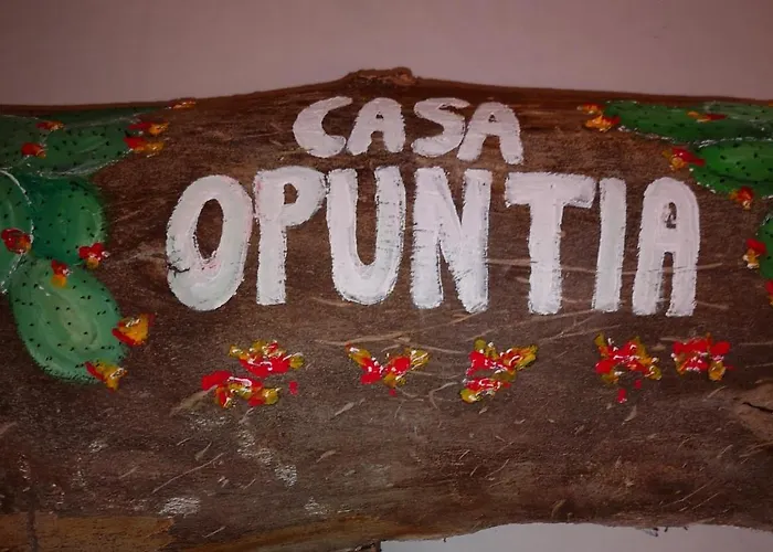 Casa Opuntia